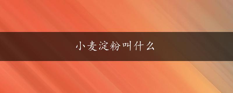 小麦淀粉叫什么