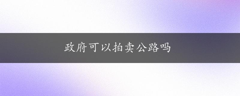 政府可以拍卖公路吗