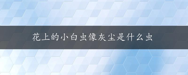 花上的小白虫像灰尘是什么虫