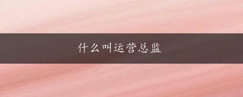 什么叫运营总监