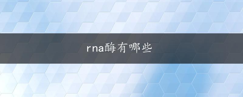 rna酶有哪些