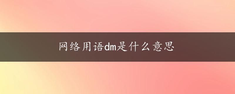 网络用语dm是什么意思