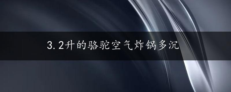 3.2升的骆驼空气炸锅多沉