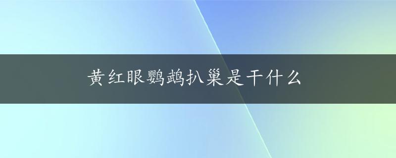 黄红眼鹦鹉扒巢是干什么