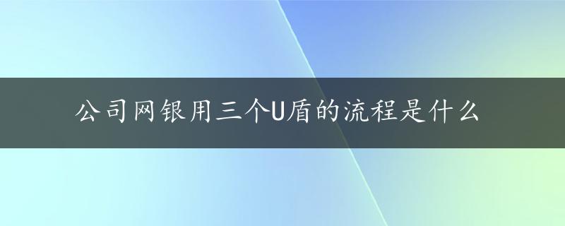 公司网银用三个U盾的流程是什么