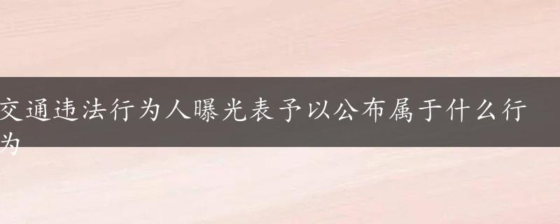 交通违法行为人曝光表予以公布属于什么行为