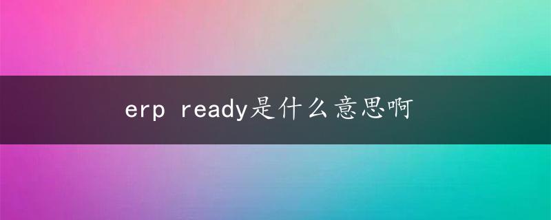 erp ready是什么意思啊