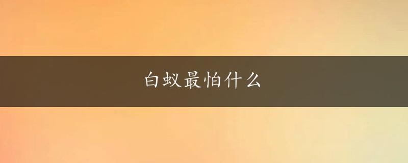 白蚁最怕什么