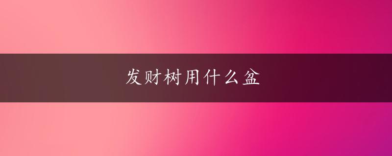 发财树用什么盆