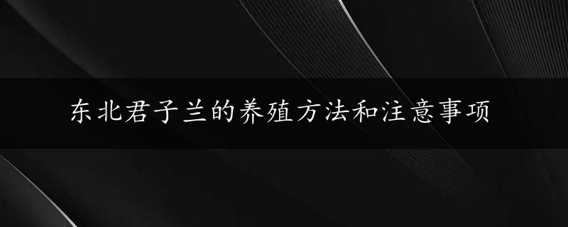 东北君子兰的养殖方法和注意事项