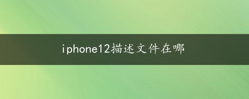 iphone12描述文件在哪