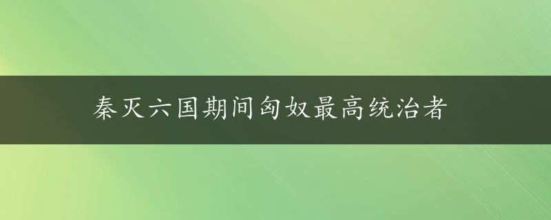 秦灭六国期间匈奴最高统治者