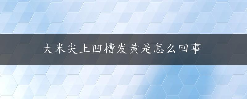 大米尖上凹槽发黄是怎么回事