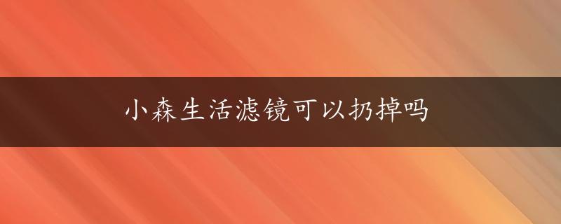 小森生活滤镜可以扔掉吗