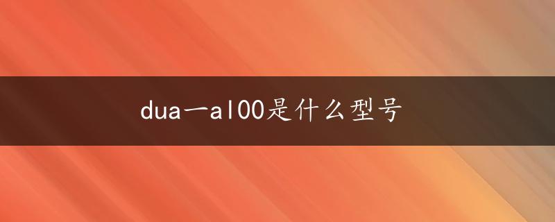 dua一al00是什么型号