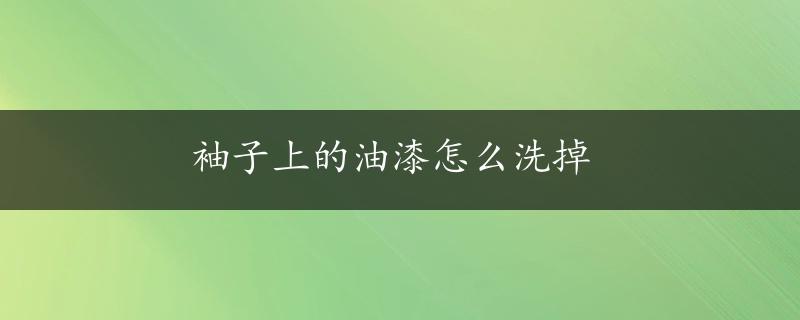 袖子上的油漆怎么洗掉