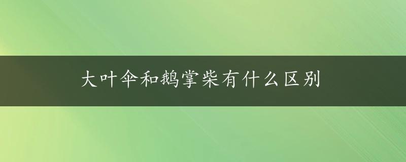 大叶伞和鹅掌柴有什么区别