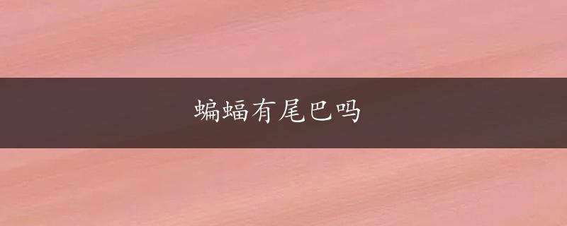 蝙蝠有尾巴吗