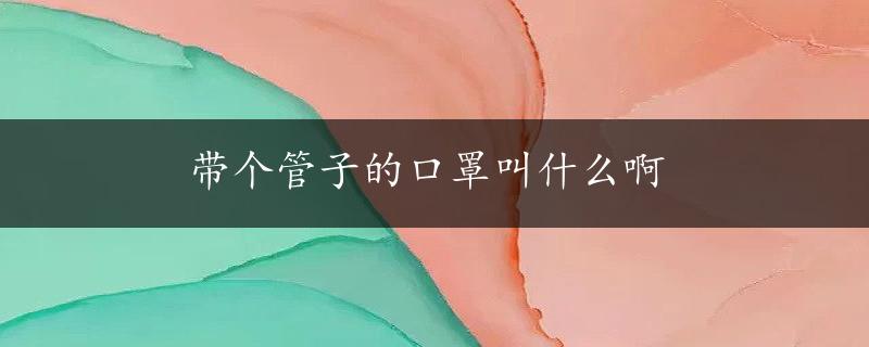 带个管子的口罩叫什么啊