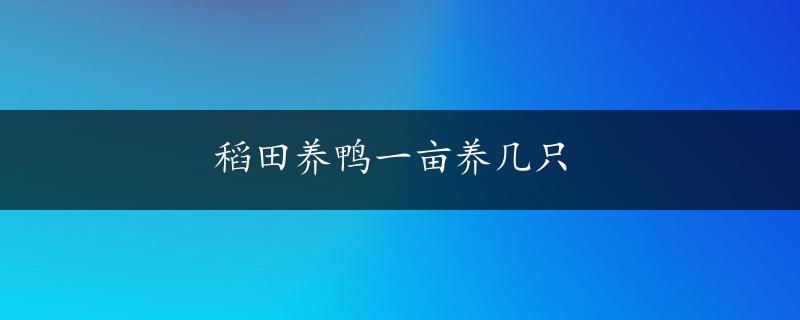 稻田养鸭一亩养几只