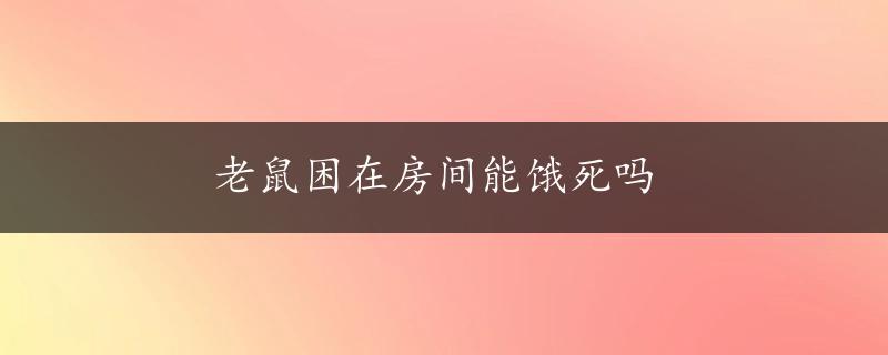 老鼠困在房间能饿死吗