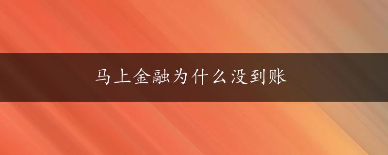 马上金融为什么没到账