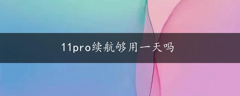 11pro续航够用一天吗