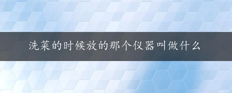 洗菜的时候放的那个仪器叫做什么