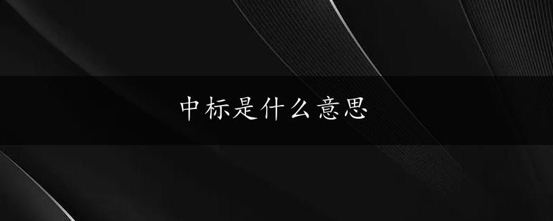 中标是什么意思