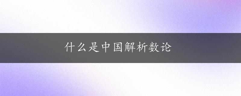 什么是中国解析数论