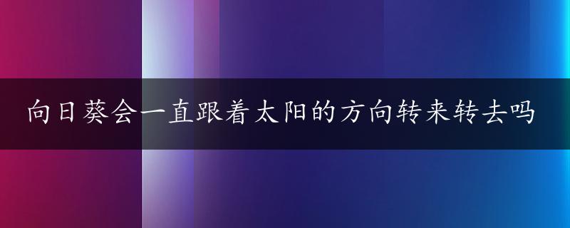 向日葵会一直跟着太阳的方向转来转去吗