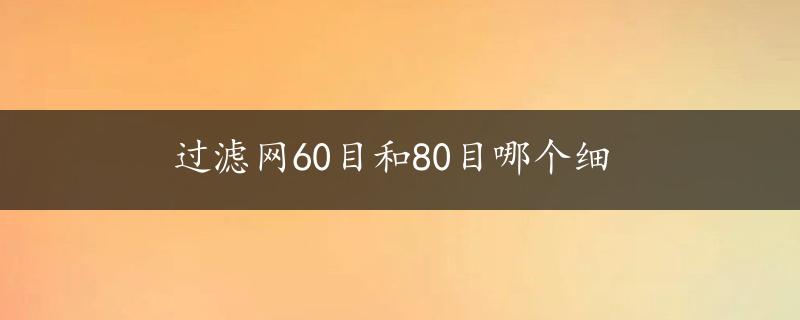 过滤网60目和80目哪个细