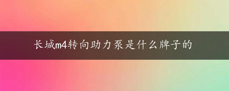 长城m4转向助力泵是什么牌子的