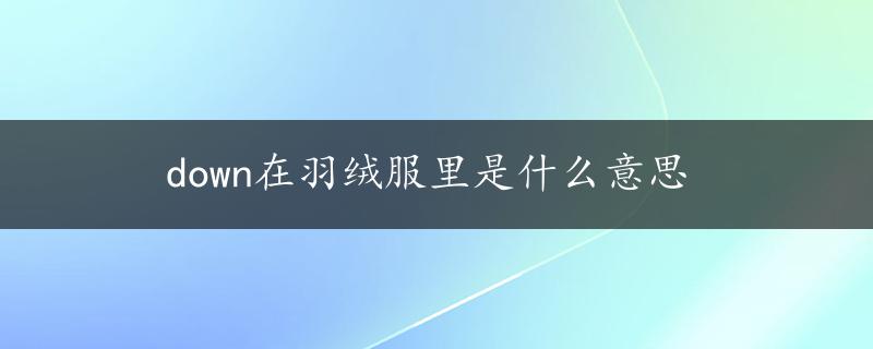 down在羽绒服里是什么意思