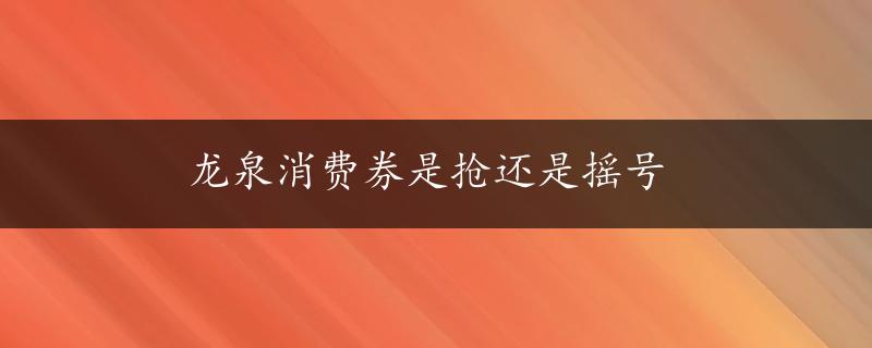 龙泉消费券是抢还是摇号