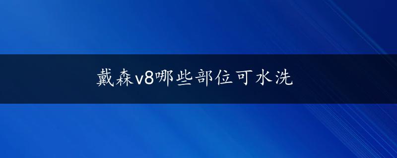 戴森v8哪些部位可水洗