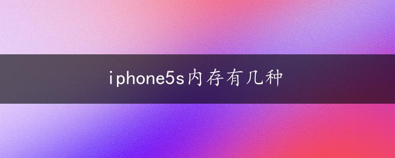 iphone5s内存有几种