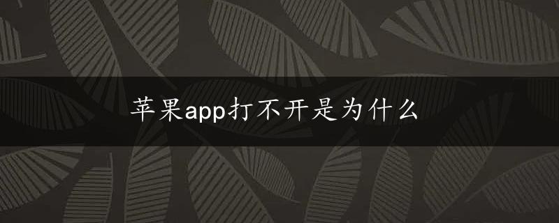 苹果app打不开是为什么