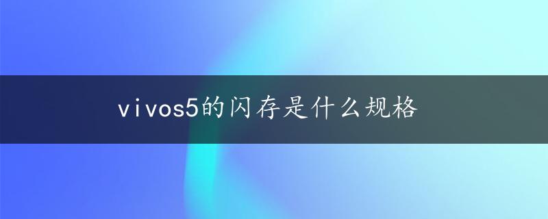 vivos5的闪存是什么规格