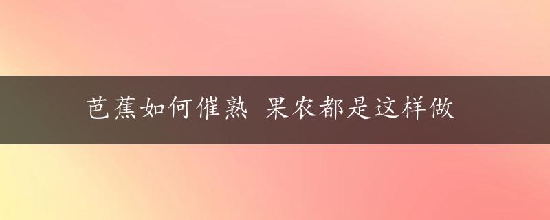 芭蕉如何催熟 果农都是这样做