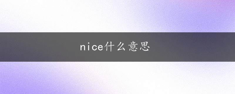 nice什么意思