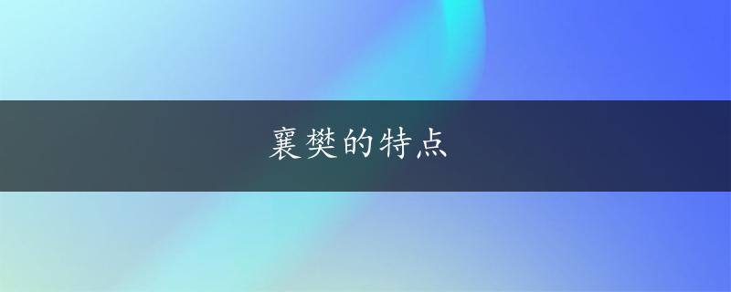 襄樊的特点