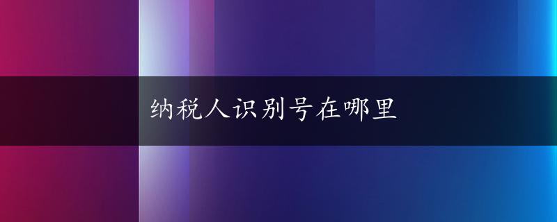 纳税人识别号在哪里