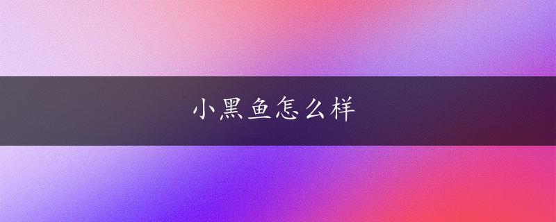 小黑鱼怎么样