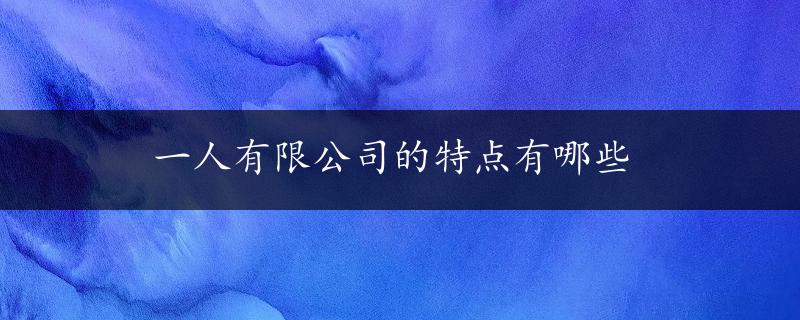 一人有限公司的特点有哪些