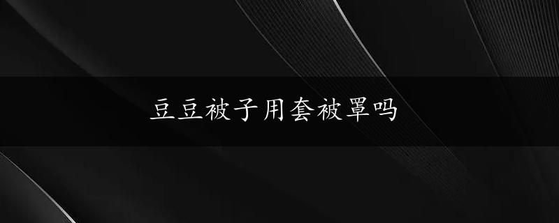 豆豆被子用套被罩吗