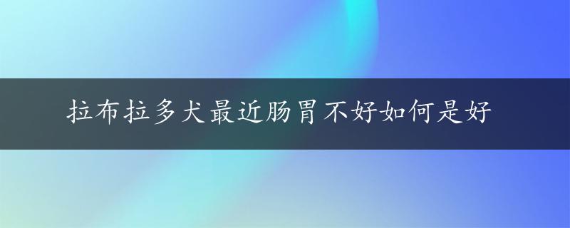 拉布拉多犬最近肠胃不好如何是好