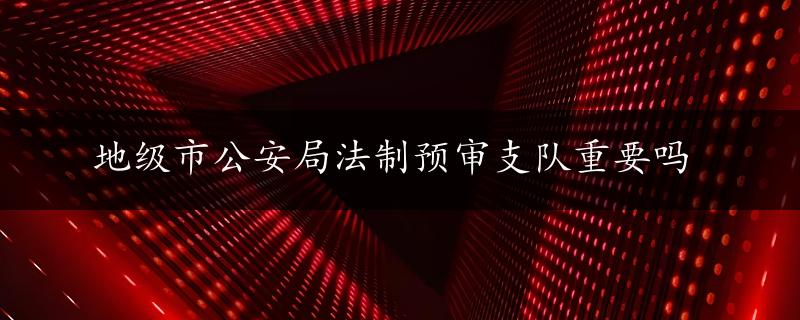 地级市公安局法制预审支队重要吗