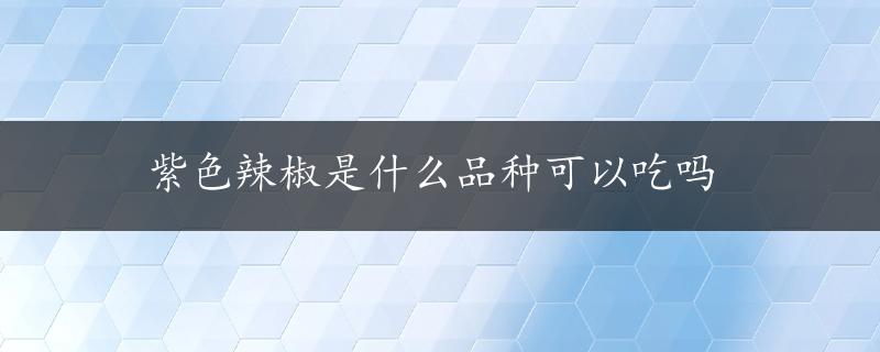 紫色辣椒是什么品种可以吃吗