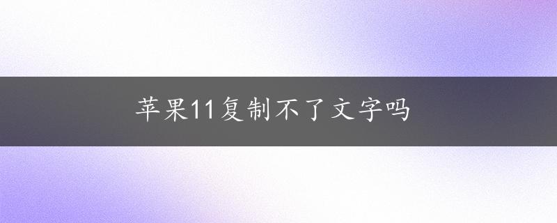 苹果11复制不了文字吗